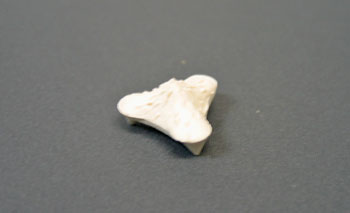 ���ѡ���10�������01