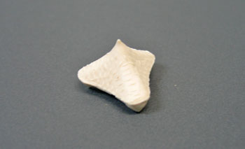 ���ѡ���10�������02