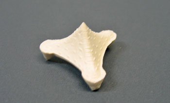 ���ѡ���10�������03